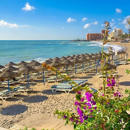 Flamingo Y Piscina Junto A Puerto Marina Бенальмадена